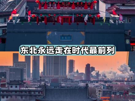 沈阳我将拥护你! #沈阳 #东北 #安全 #防护