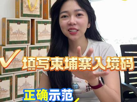 如何在柬埔寨快速办理入境信息 在网上填写入境信息!快人一步!#柬埔寨 #柬埔寨出入境 #柬埔寨生活 #柬埔寨日常 #柬埔寨入境卡