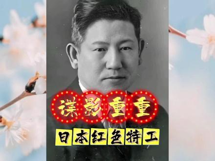 谍影重重 谍影重重 日本的红色特工 #经典间谍案件