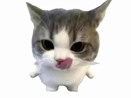 图片发评论区#小猫#鬼灭之刃#时透#时透无一郎