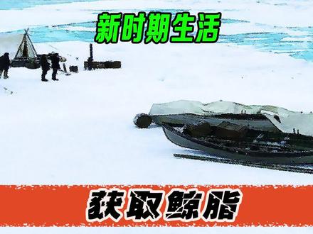 捕鲸船惊险的捕捉一头鲸鱼,捕获的鲸脂正是猎人寻找的财富密码!