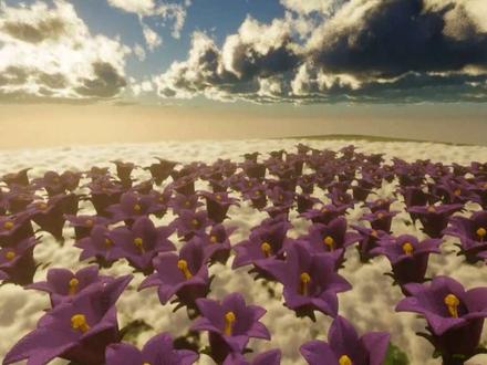 “紫罗兰的密语” #我的世界 #我的世界花海 #MC