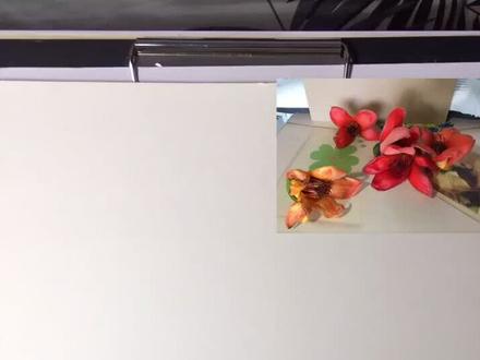 #手绘 #每日一画 最近手痒老想画画哈,分享木棉花线描写生作画步骤。