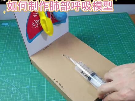 如何制作肺部呼吸模型#用废品制作创意手工 #科技小制作 #我爱发明我爱制作 #小学手工制作大全 #简易手工小制作大全