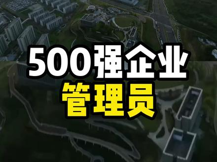 500强企业的 “超级管理员” #科技 #企业 #科普