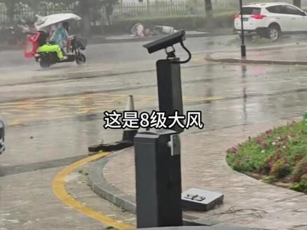 一分钟带你了解0-17级台风全貌#台风 #风 #极端天气