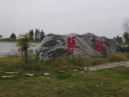 来到湖南益阳南县,感受洞庭湖湿地的魅力,这座小城很适合生活 #人在旅途 #自驾游 #旅途趣闻 #床车旅行