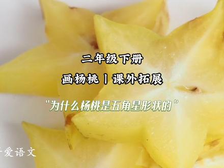 二年级语文下册|第五单元|画杨桃|课外拓展阅读|为什么杨桃是五角星形状的#二年级语文下册 #二年级下册 #课外拓展 #课外阅读