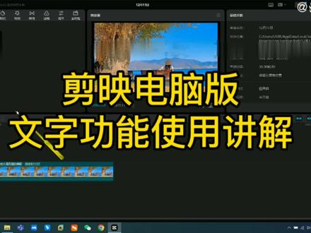 剪映文字功能使用讲解,让你快速学会文字功能用法,新手入门必学 #剪映电脑版教程 #剪映专业版教程 #剪映教程