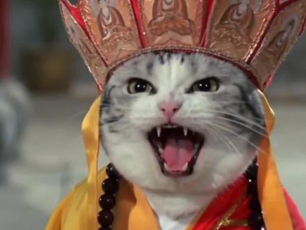 ai万佛朝宗
#即梦ai#AI分身戏精大赛 #我的AI分身杀疯了 我赶羚羊 我赶羚羊ai视频怎么做#你是否在雪山救过一只狐狸#酱板鸭 酱板鸭万佛朝宗 万佛朝宗搞笑视频 雪山救狐狸 万佛朝宗如来神掌 万佛朝宗如来神掌特效 雪山救狐狸ai指令