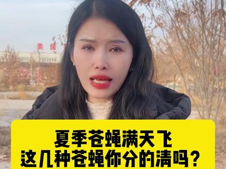 苍蝇满天飞你都分的清楚他们吗? #苍蝇的危害 #灭苍蝇神器