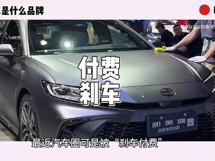 付费刹车是什么品牌#付费刹车是什么品牌