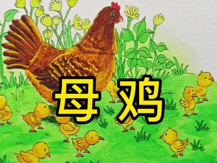 《母鸡》难道它不美吗?回答我! #水彩 #手绘 #小东画课文