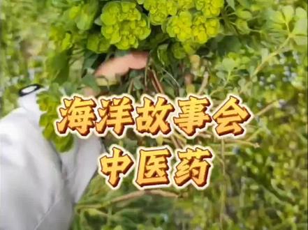 海洋故事会中医药,时长14分钟建议息屏后台听故事