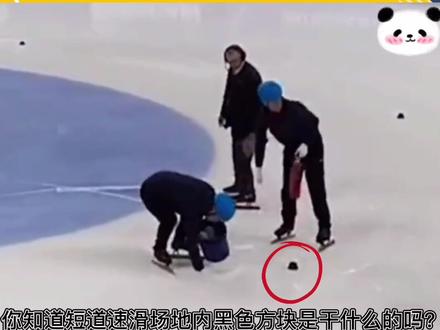 #短道速滑 场地内的“小黑块”竟然是这样用的!#dou出新知 #冬奥懂王 #北京体育大学
