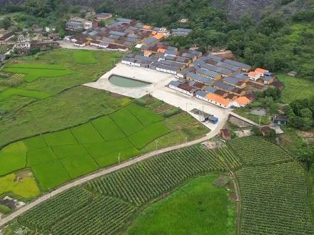 靠山吃山捡石头致富确实不多见#靠山吃山 #农村