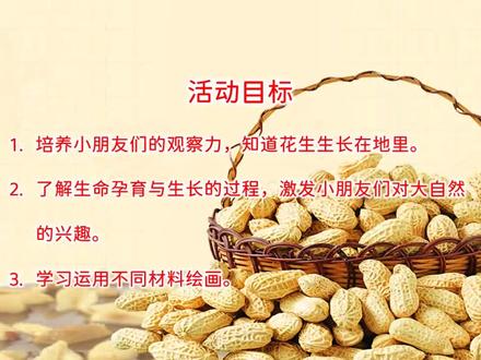 大班美术《落花生》PPT课件+教案
活动目标:
1、培养小朋友们的观察力,知道花生生长在地里。
2、了解生命孕育与生长的过程,激发小朋友们对大自然的兴趣。
3、学习运用不同材料绘画。
活动重难点:
1、培养小朋友们的观察力,表现生长在地里的花生。(组织孩子们欣赏观察花生,说一说花生的叶子是什么形状的,上面的叶脉有着怎样的线条特点;花生的花朵是什么颜色的,和花生的果实有什么联系?了解生命孕育与生长的过程,激发小朋友们对大自然的兴趣。)
2、在创作选材上呈现多种形式,激发小朋友们的想象力,培养运用不同材料绘画的能力。(在绘画中,小朋友们可以根据自己绘画的能力,运用自己已经掌握的形状和线条对花生的叶子进行装扮,并涂上充满生机的色彩;在花生果实的表现上,直接选择花生壳进行贴画,形成生动有趣的画面效果。)
活动准备:
PPT课件、剥好的花生壳、超轻粘土、水粉笔(水彩笔)、记号笔、白色的卡纸。
活动过程:
一、猜谜导入
猜谜语(关于花生的谜语)
二、认识花生
1、、出示真实的花生观察花生的形状、纹理、粗糙、花生米的颜色。
(生活中很多人都很喜欢吃坚果,花生就是其中一种很常见的坚果。