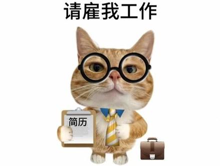面试官:SFT之后做RL,模型为啥先变差再变好? #大模型算法 #大模型面试 #ai大模型 #强化学习 #SFT
