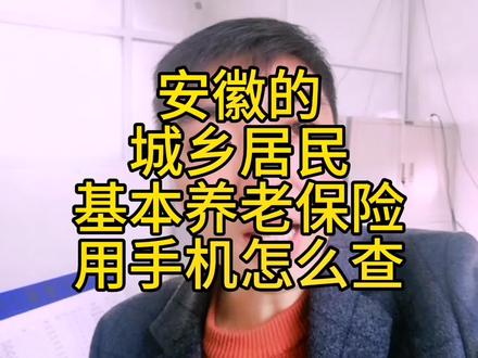 安徽的,城乡居民养老保险用手机怎么查,你会吗#林老师日常#我的乡村生活 #城乡居民养老保险 #养老保险查询#皖事通