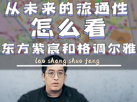 您觉得紫宸和尔雅哪一个的流通性更好? #东方紫宸 #格调尔雅 #流通性 #河东新房 #天津买房