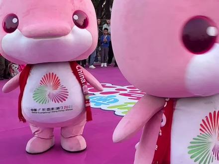 被萌晕啦~太可爱了大湾鸡,记住带黑色背包的这只了😂其实他们内胆都还只是小朋友哦#广州 #大湾鸡 #日常vlog