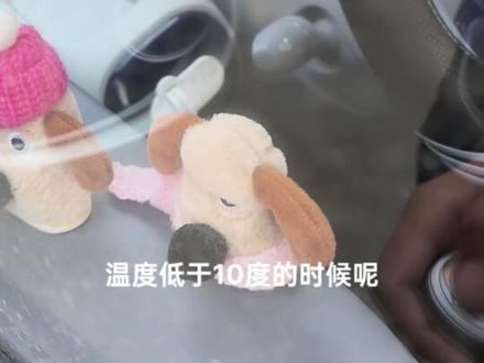 #奔腾小马 #奔腾小马来自一汽 奔腾小马充满电后会自动断电,低于10度会出现电池包加热,正常的哈