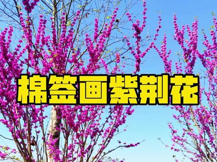 超简单用棉签画画,画紫荆花 #棉签画画 #画花 #零基础学画画 #想画就画