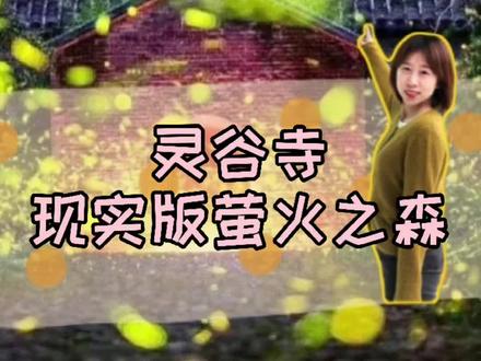 夏至已至,萤火虫季来了,南京灵谷寺的萤火之森不要太梦幻,合肥周边也有吗?#森林 #萤火虫 #夏至 #亲子游