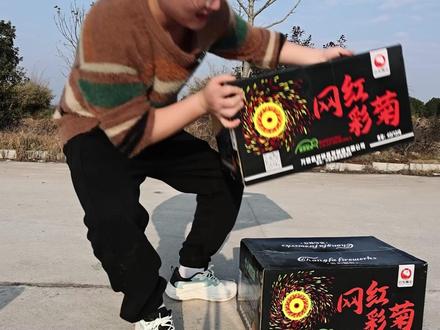 将7640个彩菊烟花组在一起,点燃之后会是一个什么样的效果? #彩菊烟花 #彩菊正确玩法 #烟花