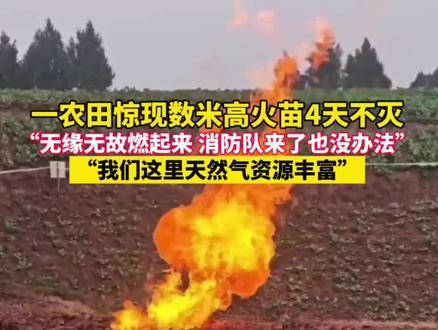 近日,四川省南充市蓬安县徐家镇,村旁田地里燃起两三米高火焰四天不灭。