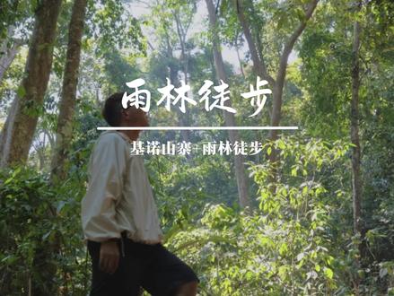 与世界失联的五小时、高空秋千、攀树速降、现实版荒野求生、非遗基诺大鼓舞,这一次徒步旅行,让我认识到了中国最后一个少数民族——基诺族的故乡#五一吃喝玩乐节 #来云南泼就对了 #回答一下我的钱花哪了 #基诺山雨林徒步 #西双版纳旅游
