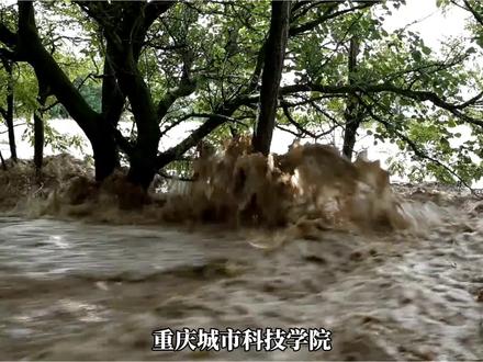 突发暴雨泥石流!重庆一高校紧急全员停课撤离,舆情深层隐患不容 #洪灾无情 #暴雨洪涝灾害 #应急避险指南 #舆情 #舆情监测