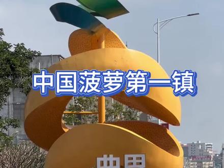 怀孕了到底能不能吃菠萝和凤梨?今天去帮朋友挑个几个,菠萝和凤梨慢慢多起来了,年后又要回来开始牛马生活
#记录真实生活 #优质农产品 #水果 #菠萝 #三农