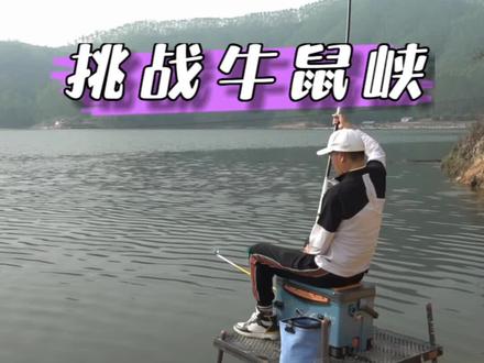 挑战爆杆胜地牛鼠峡。 #黑坑盘老板 #dou是钓鱼人 #2022dou来钓鱼