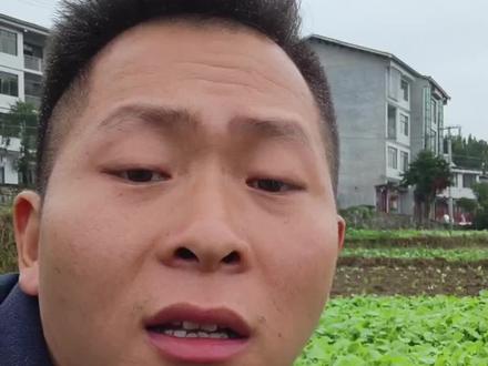 人生如戏,或许是这个样子吧#新农人计划2023 #农村生活 #我的乡村生活