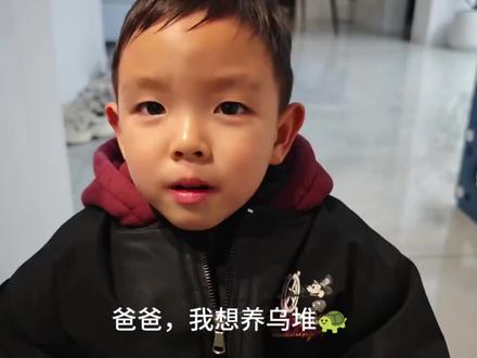 #乌龟 新手养龟,有大佬分享一下养龟经验吗