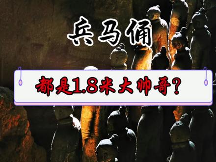 秦朝人和兵马俑一样都是1.8左右的大帅哥吗?#中国历史文化 #兵马俑身高 #历史