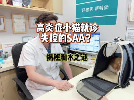 猫咪肺都泡在牛奶在里面怎么办