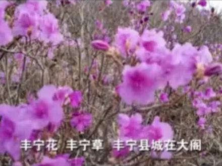 美丽的丰宁: