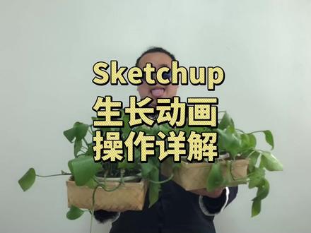 SU生长动画,原理解析,耐心看完的你一定会有所收获#sketchup #3d建模