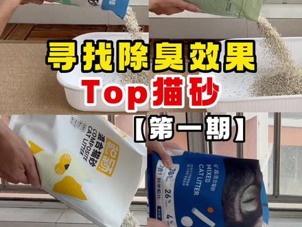 今年夏天,一定要用到好用的除臭猫砂!#猫砂 #猫砂测评#养猫日常 #养猫的应该都懂吧 #养猫进阶指南