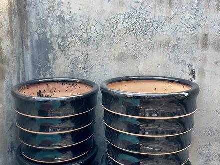 刀盾狗的刀和盾丢失!到处都找不着被谁拿走了? #布鲁可奥特曼 #刀盾狗 #我的刀盾 #奥特曼玩具 #积木搭建