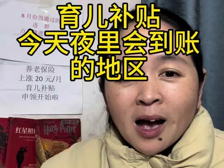 育儿补贴连夜到账 育儿补贴连夜到账的地区#创作灵感 #育儿补贴 #育儿补贴新政策 #育儿补贴山东 #育儿补贴山东临沂