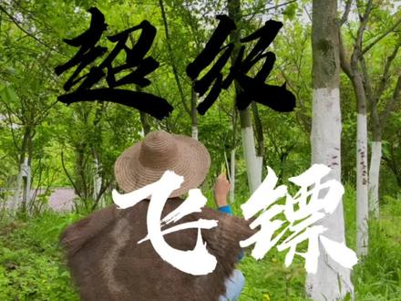 今天,我们不做科学梦,一起来做武侠梦!!#超级飞镖 #创意手工#折纸教程 #折纸飞镖