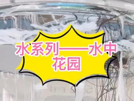 水系列——水中花园,水中长出五颜六色水草#化学实验#初中化学#高中化学