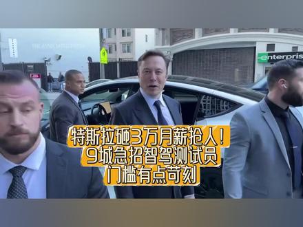 特斯拉砸3万月薪抢人!9城急招智驾测试员,门槛苛刻到离谱 #硬核深度计划 #理性看世界