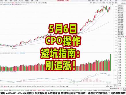 6月6日CPO操作避坑指南:别追涨!