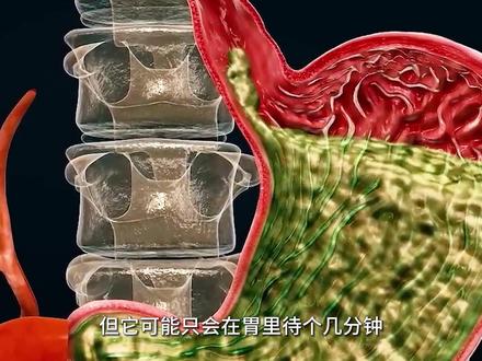 喝下去的水明明无色无味,却为何能变成黄色且味道感人的尿液呢?#尿液 #涨知识 #爱护身体