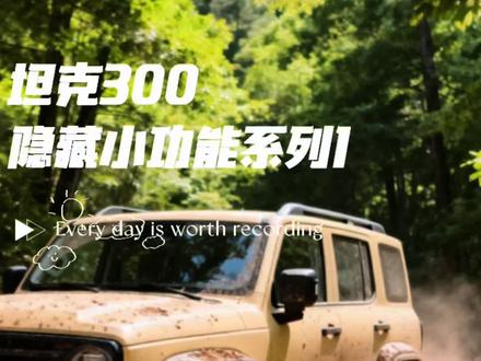 分享一个坦克300比较实用的隐藏小功能,比较适合女士和孩子。 冷知识:空调风要选择对面吹和对脚吹模式,其他模式吹不到储存室内。#坦克300诗和远方 #汽车知识分享 #每天一个用车知识 #坦克300