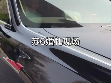 人秋雅结婚 你在这又唱又跳#苏6 #三太 #苏6婚礼 #石家庄 #张诗尧